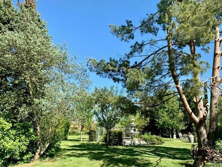 Wohnhaus mit Scheune und riesigem Garten 10 Minuten südlich von Rostock! Liebhabergrundstück!