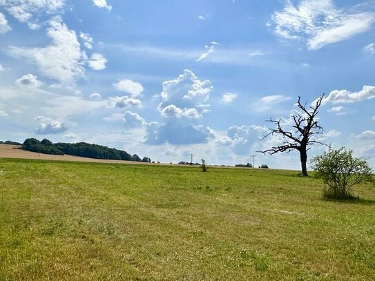 Großzügiges Wohnbaugrundstück in Mohorn (Herzogswalde)