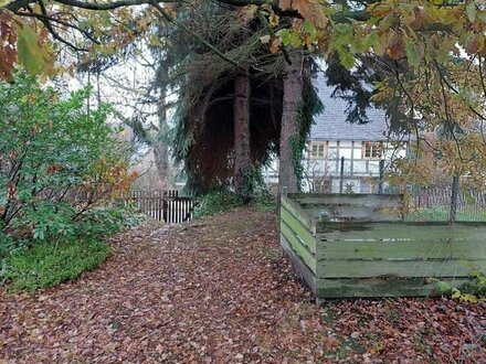 Gartengrundstück mit eingeschränkter Bebaubarkeit in Grimma