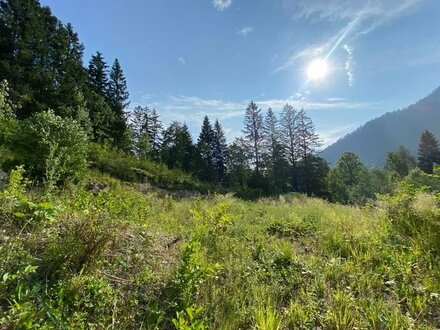 SCHLIERSEE - Grundstück mit Baugenehmigung für ein Villen-Ensemble in herrschaftlicher Lage!