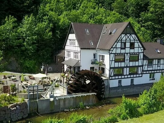 Mühlen-Café (geöffnet) mit Wasserrad plus 4 Wohnungen u. 5 Gästezimmer in Schmallenberg!