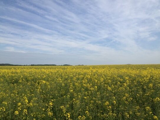 Leben und Wohnen im eigenem Heim in Breege auf Rügen.