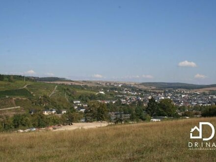 Wellen: Sonniges Baugrundstück "Zum Altenberg"