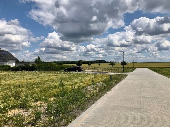 Großzügige Baugrundstücke mit Blick über Wiesen und Felder