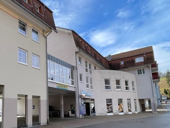 2 variable Wohnungen, *Rarität*, weiterer möglicher Ausbau, zugängliche Dachterrasse,