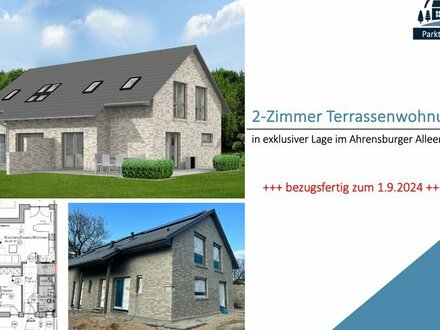 2-Zimmer Terrassenwohnung in exklusiver Lage im Ahrensburger Alleenviertel