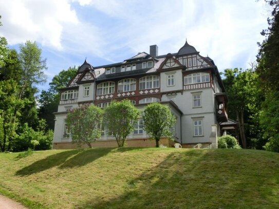 Traumhafte, idyllische Dachgeschosswohnung mit Einbauküche, Lift und Balkon (im berühmten Denkmalgebäude)