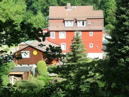 Pension (momentan Biker-Pension) mit 11 Zimmern auf einer sehr schönen Lage im Harz