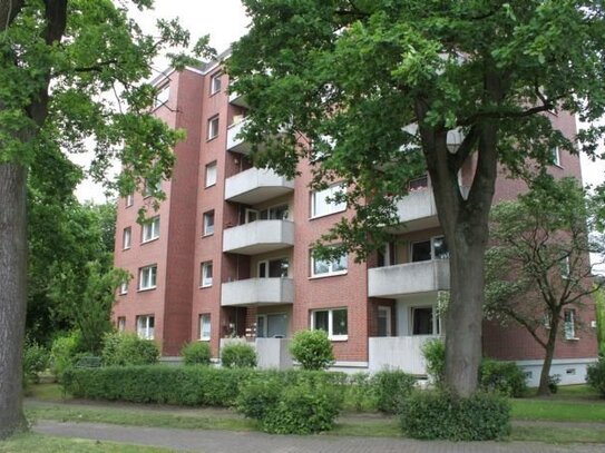 renovierte 3 Zimmer Wohnung mit Neubau-Terrasse und Gartennutzung