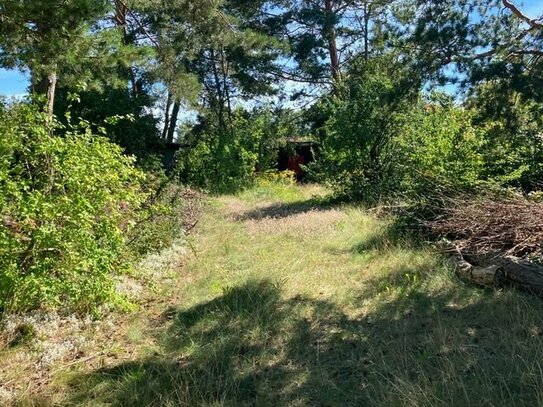 Interessantes Wohnbaugrundstück in Fredersdorf-Vogelsdorf