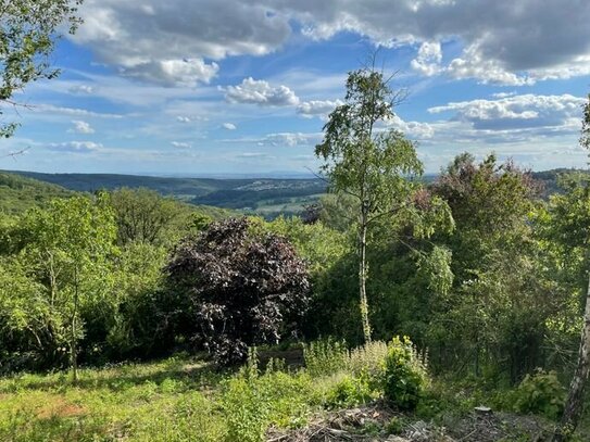 Baugrundstück mit einem traumhaften Blick über den Taunus