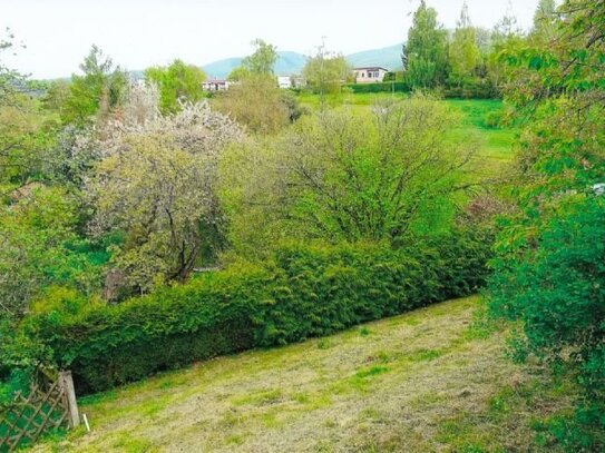 Unbebauter Garten zur Selbstgestaltung in Schweina