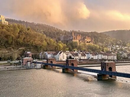 Neuenheim, Villa mit Schlossblick in bester Lage, Wasser, Wald, Altstadt besser geht nicht