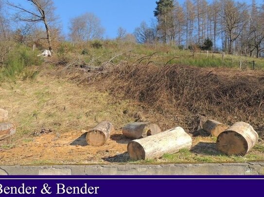 Schönes Baugrundstück am Waldrand mit Fernblick - nähe Daaden!