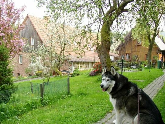 3 Häuser mit Riesengrundstück in traumhafter Naturlage (O-3010)