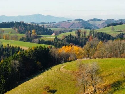 Verkauf im Dreiländereck D-CH-F: Bestens eingeführtes Traditionshotel (3*-Standard, ca. 25 großzüg. Zim.), gepflegte Ga…