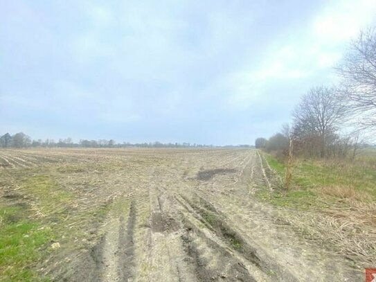 Ca. 5,2 ha Ackerfläche in Rhauderfehn zu verkaufen