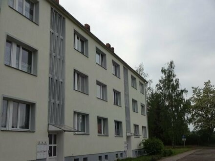 Schöne Komfort 2-Raum Wohnung in modernisiertem Wohnhaus in schöner grüner Ruhiglage von Leislau * Nette Hausgemeinscha…