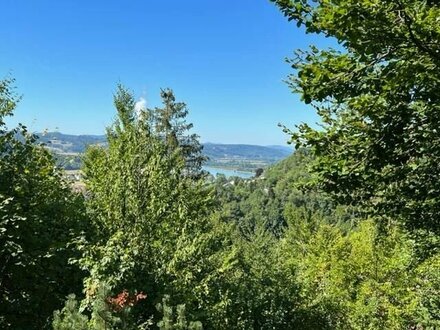 Schöne Aussichten in Waldshut - Einfamilienhaus mit Einliegerwohnung in Toplage!