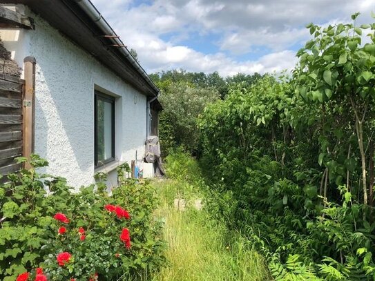 idyllisches 70m² EFH im Bungalowstil in Spindlersfeld - 500m abseits der Spree gelegen