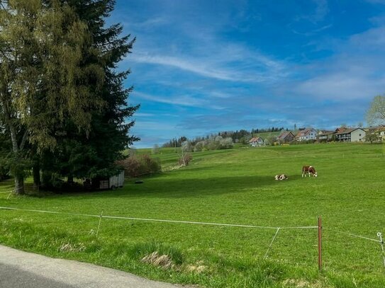 Gute Lage! Großzügiges Baugrundstück in St. Peter