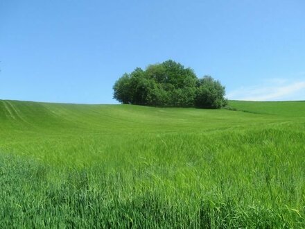 5,3 Hektar Acker und Wiesengrundstücke zwischen Tillbach und Parschalling zu verkaufen!