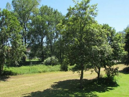 Sonnige 3-Zimmer-Wohnung mit herrlichem Blick ins Grüne zu vermieten