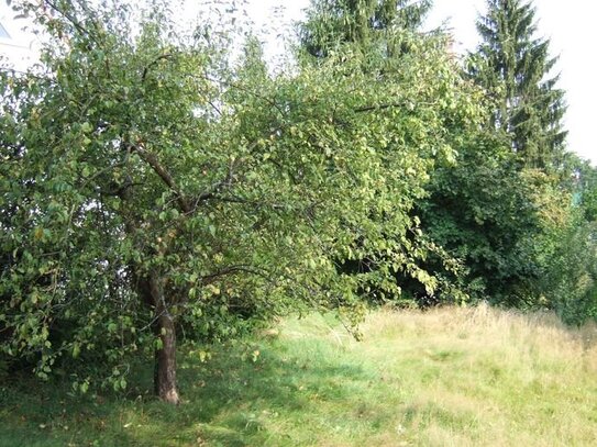 Grundstück mit Baugenehmigung für eine Doppelhaushälfte in ruhiger Lage