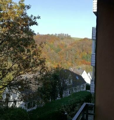 Gepflegte Souterrain-Whg. mit toller Aussicht und kl. Garten - Privatverkauf