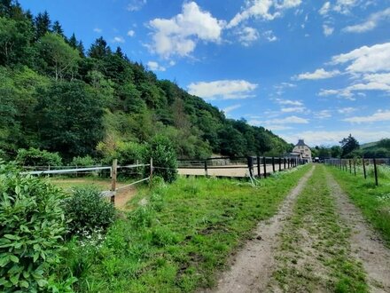 Pferde- u. Hundehaltung in Alleinlage mit 7,1 ha Eigenland, Bewegungsplatz 20 m x 60 m, 8 Pferdeboxen, historischem Woh…