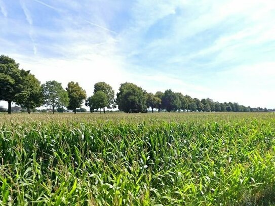 Ackerfläche von ca. 5 ha in Voerde (Niederrhein)