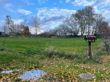 Sehr ruhige idyllische Ortsrandlage gesucht?