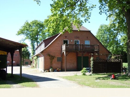 sonnige große 4-Zimmer-Wohnung auf dem Bauernhof