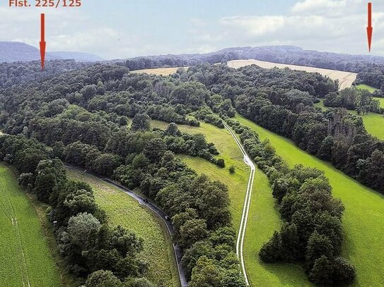 1,2 ha land- und forstwirtschaftliche Flächen