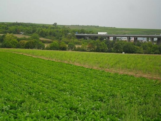 DIREKT VOM EIGENTÜMER ! Gewerbliches Bauerwartungsland in guter Stadtrandlage von Alzey