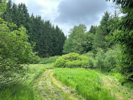 Landwirtschaftliche Fläche/Waldfläche in Waldmünchen