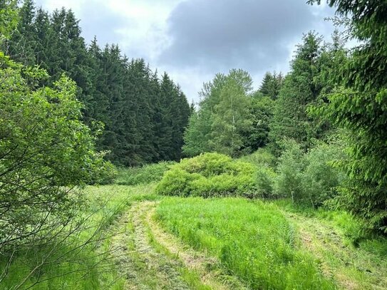Landwirtschaftliche Fläche/Waldfläche in Waldmünchen