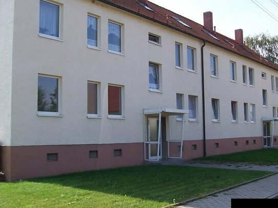 Gemütliches Einzimmerapartment am schönen Geiseltalsee sucht Nachmieter!