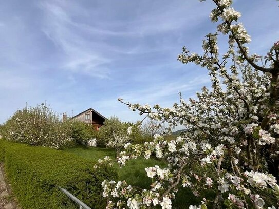 Panorama-Grundstücke mit tlw. Bebauung in Heideck