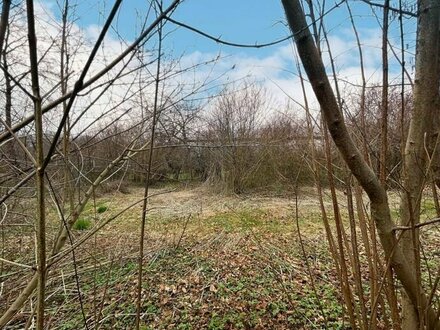 Bauerwartungsland in Furth im Wald zu verkaufen!