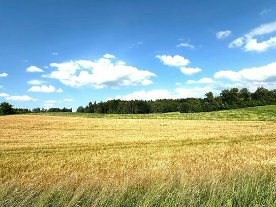 4 Hektar attraktives Ackerland und Grünflächen