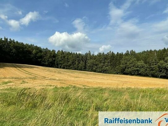 Landwirtschaftliche Fläche Nähe Simbach bei Landau