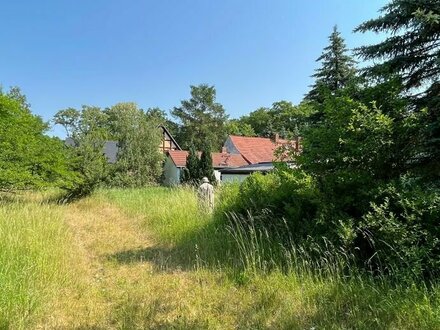 Bebautes Grundstück zum selbst verwirklichen in der Dübener Heide!