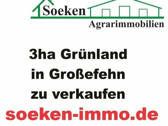 Grünland in Großefehn-Akelsbarg zu verkaufen. HF2401