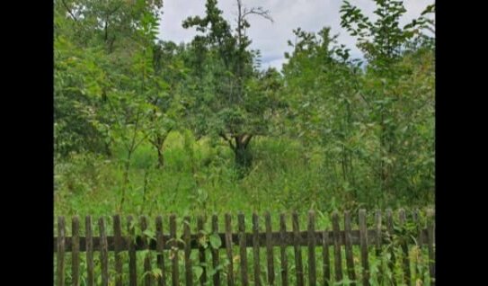 Freizeitgrundstück -- Gartengrundstück