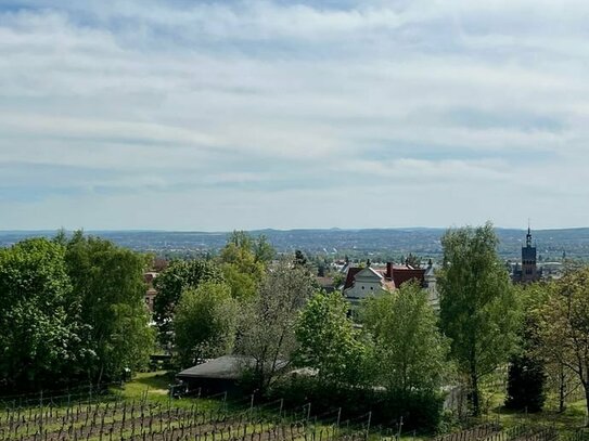 Balkon mit traumhafter Aussicht in den Weinbergen Radebeuls