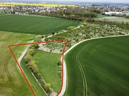 1,5 ha Grün- und Ackerland