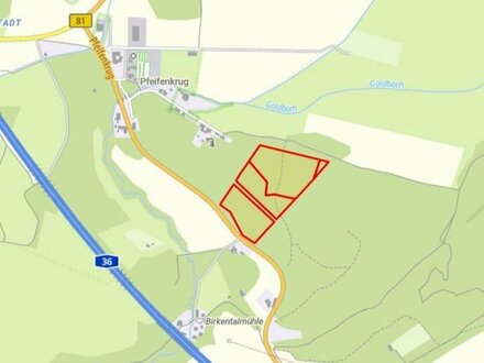 Verkaufe 5,50 ha Wald in Blankenburg (HZ) / Harz/Sachsen-Anhalt