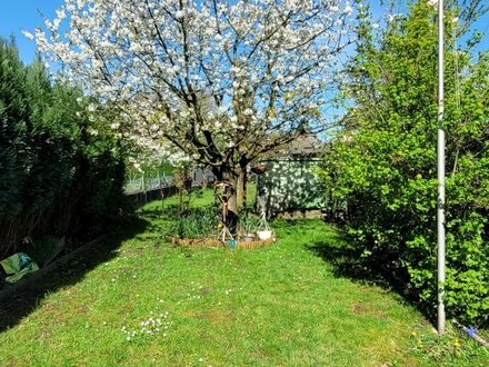 Ich bin größer als ich aussehe und habe einen großen sonnigen Garten