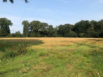 Verkauf von ca. 1,3 ha Ackerland in Essen (Oldenburg). Gemarkung Herbergen.